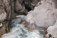 La véritable richesse des Alpes