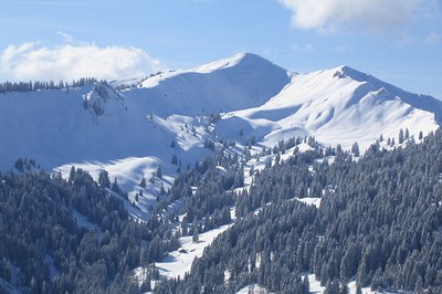« Le tourisme se cannibalise lui-même »