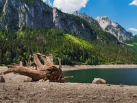 Les Alpes s’assèchent