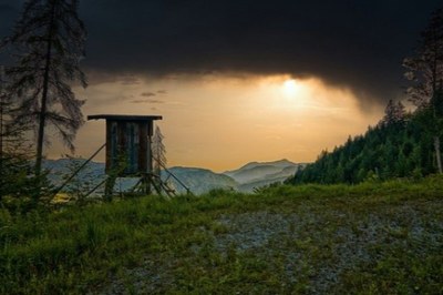 Les nouvelles lois sur la chasse sous les feux de la critique