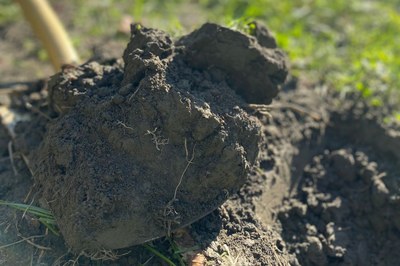 L’UE veut des sols en bonne santé d’ici 2050