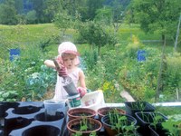 Mon regard sur les Alpes