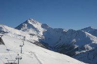 Pas de tolérance pour la criminalité environnementale