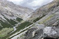Préserver la biodiversité alpine