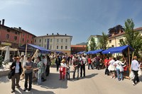 Rat des villes et rat des champs : ensemble, nous sommes forts