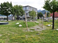 Trois ans pour des sols vivants : Ground:breaking dresse le bilan