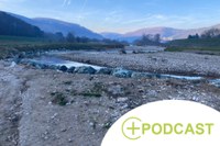 Trop ou trop peu d’eau : sortie dans la forêt Wienerwald
