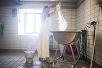 Verdir l’économie