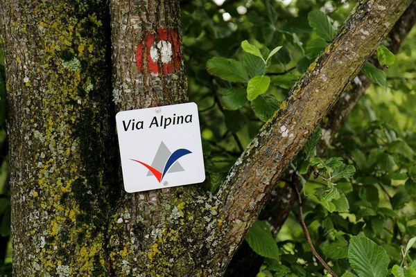 Mobilités douces et randonnées autour de la Via Alpina
