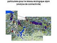 Rapport final de l'analyse de connectivité: un réseau écologique transfrontalier dans l’espace alpin