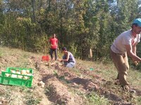 Landschaften und Beziehungen pflegen