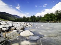 Convenzione delle Alpi