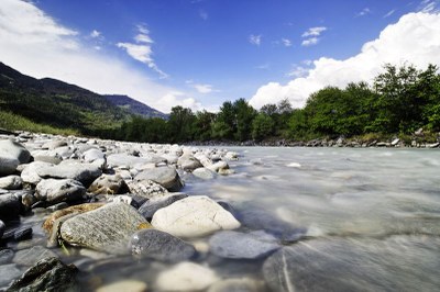 Convenzione delle Alpi