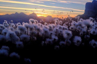 Gestione dei flussi di visitatori nelle Alpi