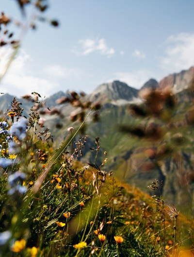La biodiversità necessita di una politica coraggiosa e di un’attuazione rigorosa