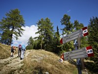 Un mare di dati nel turismo di montagna