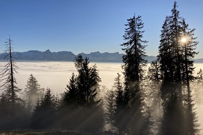 Posizione sul paesaggio