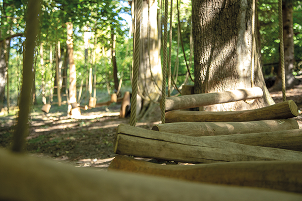 Bilancio comunale a mezzo cartolina postale