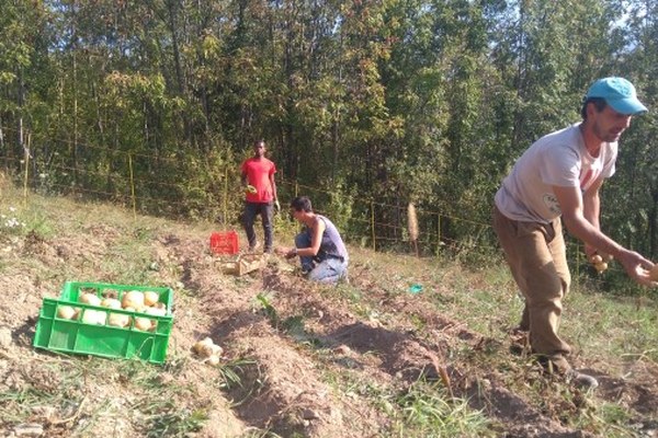 Curare paesaggi e relazioni