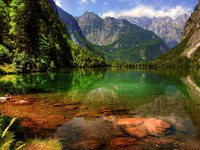 La natura come influencer