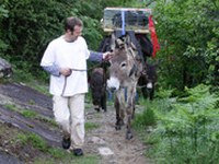 Conservazione di razze di bestiame produttivo e da reddito e piante coltivate tradizionali