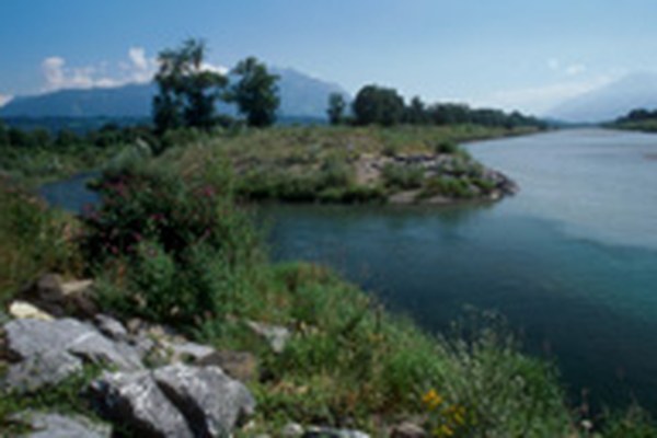 Appello per l'attuazione del programma di sviluppo "Futuro Reno Alpino"