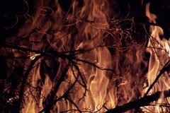 Incendi boschivi: centinaia di ettari di bosco andati in fumo