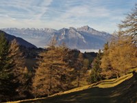 Giornate europee del bosco di montagna