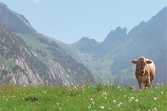 Politica turistica osservata speciale: i fondi vengono impiegati in modo sostenibile?