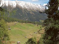 Saperi vissuti nelle Alpi