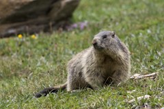 Studio sul cambiamento climatico nel territorio alpino del Tirolo
