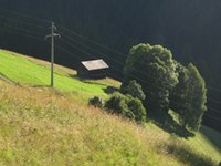 Quale agricoltura per l'Europa?