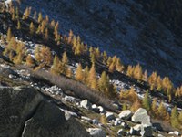 Conseguenze dei cambiamenti climatici in Austria