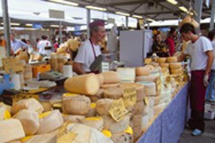 Discussione sulla coesione territoriale in Europa