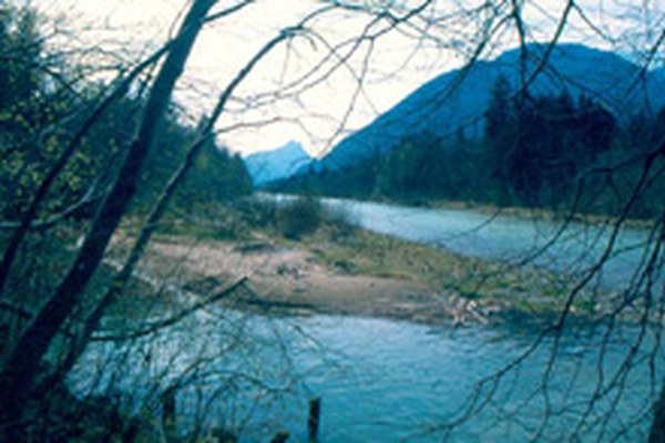 Bad Reichenhall: "Esperienza natura Marzoller Au"