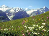 È iniziato il conto alla rovescia per la biodiversità!