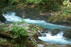 La seconda Relazione sullo stato delle Alpi tasta il polso delle acque alpine