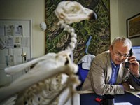 Natura senza confini: Continuum ecologico ed Econnect