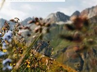 Comunicato stampa della CIPRA sulla relazione annuale 2009 «Biodiversità nelle Alpi»