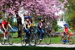 Con la coda dell'occhio: i comuni verso l'autosufficienza energetica