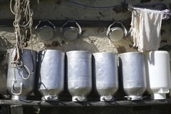 Fascinazione Alpi: i temi della Convenzione colti attraverso l'obiettivo fotografico