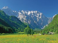 Logarska dolina: protezione economica della natura?
