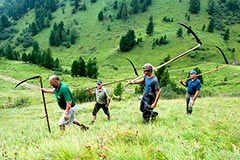 Nuove aree protette nelle Alpi