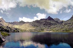 Protezione della natura senza confini tra Italia e Francia