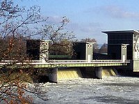 I salmoni torneranno presto nel Reno