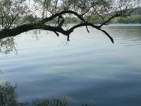 Gli Stati vietano la fratturazione idraulica nel Lago di Costanza