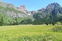 Aree protette alpine e cambiamenti climatici