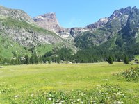 Aree protette alpine e cambiamenti climatici