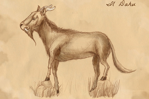 Avvistato esemplare di dahu nelle Alpi lombarde