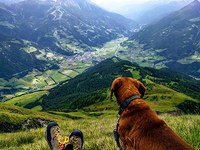 Che cosa ci racconta il paesaggio